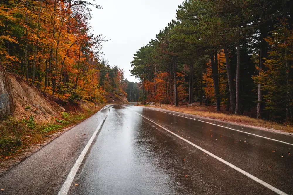 Carretera mojada con el reflejo intenso que permanece al usar una lente sin polarización