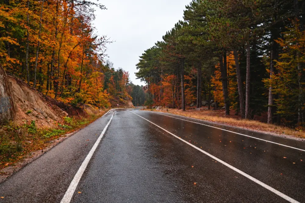 Carretera mojada con el reflejo del asfalto reducido mediante una simulación de polarización