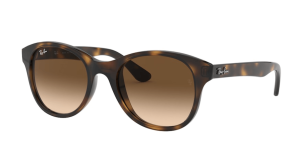 Patillas originales Ray-Ban RB4203, color 710 · Habana claro