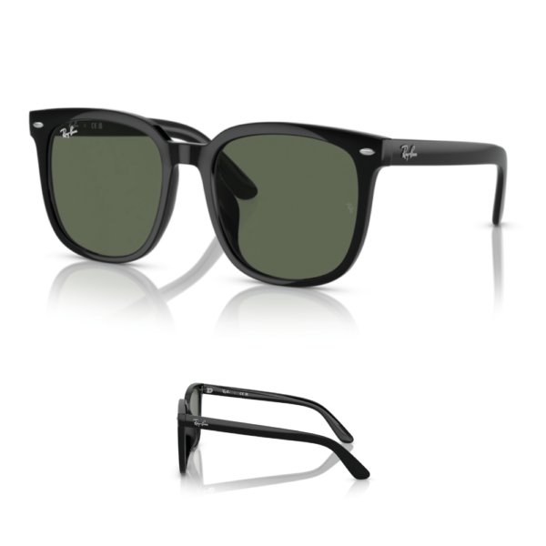 Patillas Ray-Ban 4401D Originales