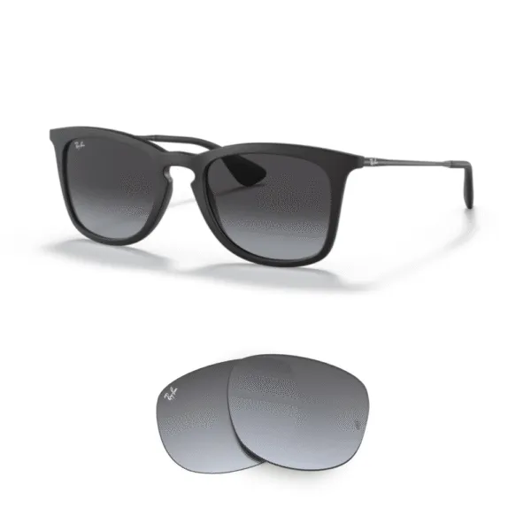 Cristales Ray-Ban 4221 Originales