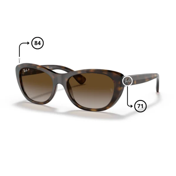 Piezas de Repuesto Ray-Ban 4227 Originales