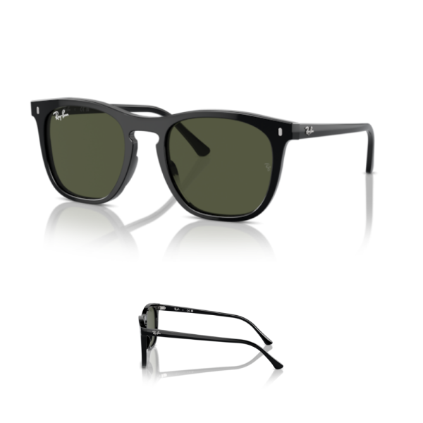 Patillas-Varillas Ray-Ban 2210 Originales