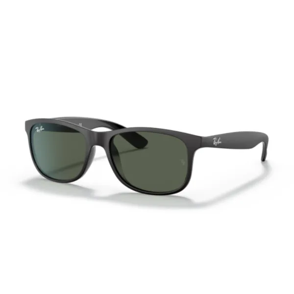 Ray-Ban RB4202 ANDY