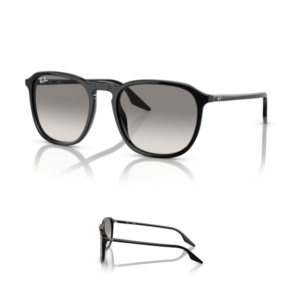 Patillas Ray-Ban 2203 Originales