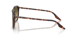 Patillas originales Ray-Ban RB2203, color 1429 · Habana rojo tortoiseshell