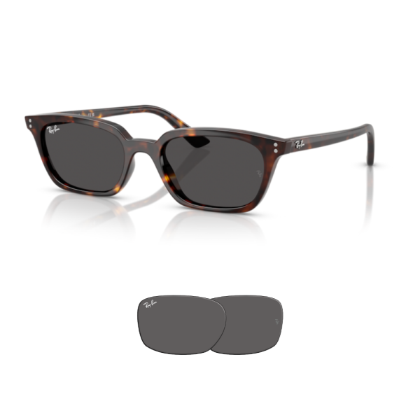 Cristales Ray-Ban RB4456 Zaya originales