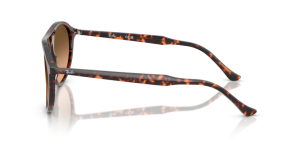 Patillas originales Ray-Ban RB2215, color 1429 · Habana rojo tortoiseshell