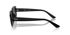 Patillas originales Ray-Ban RB4421D, color 6677 · Negro