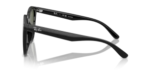 Patillas originales Ray-Ban RB4423D, color 601 · Negro