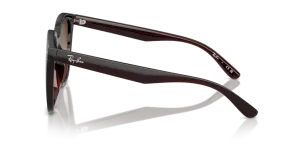 Patillas originales Ray-Ban RB4423D, color 714 · Transparente marrón