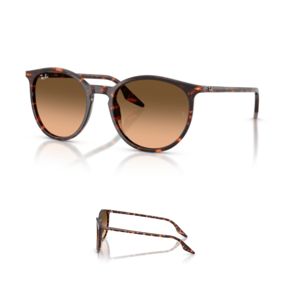 Patillas Ray-Ban 2204 Originales