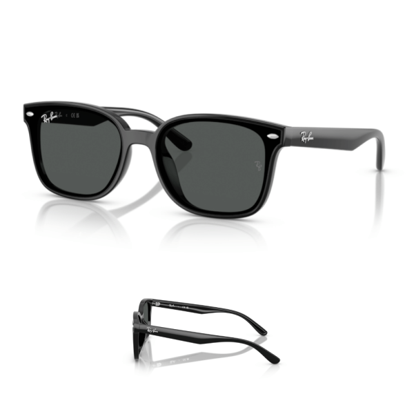 Patillas Ray-Ban 4461D Originales