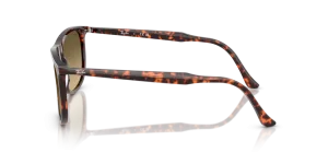 Patillas originales Ray-Ban RB2216, color 1429 · Habana rojo tortoiseshell