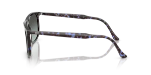 Patillas originales Ray-Ban RB2216, color 1430 · Habana azul tortoiseshell