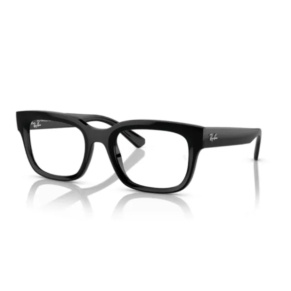 Ray-Ban RX7217 CHAD