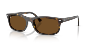 Ray-Ban 2224, color 710/57 · Habana