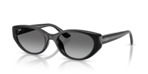 Ray-Ban 4457D, color 667711 · Negro