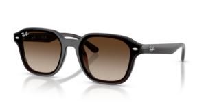 Ray-Ban 4458D, color 714/13 · Transparente marrón oscuro