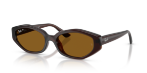Ray-Ban 4473D, color 714/83 · Marrón oscuro